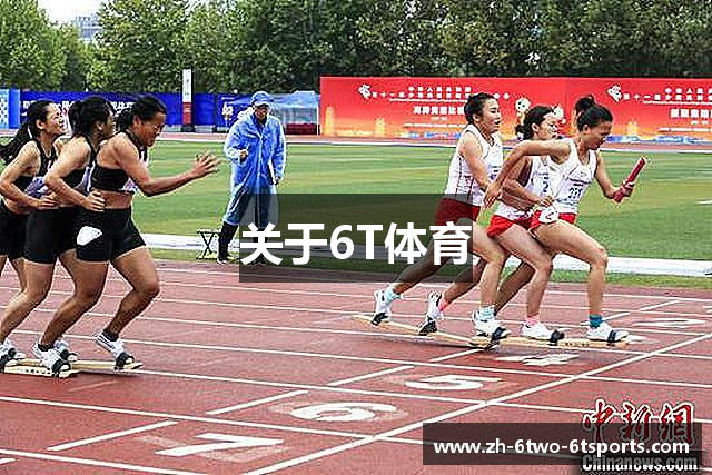 关于6T体育